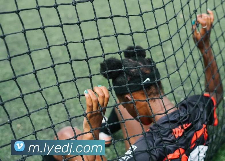 乐鱼电竞APP 封面图